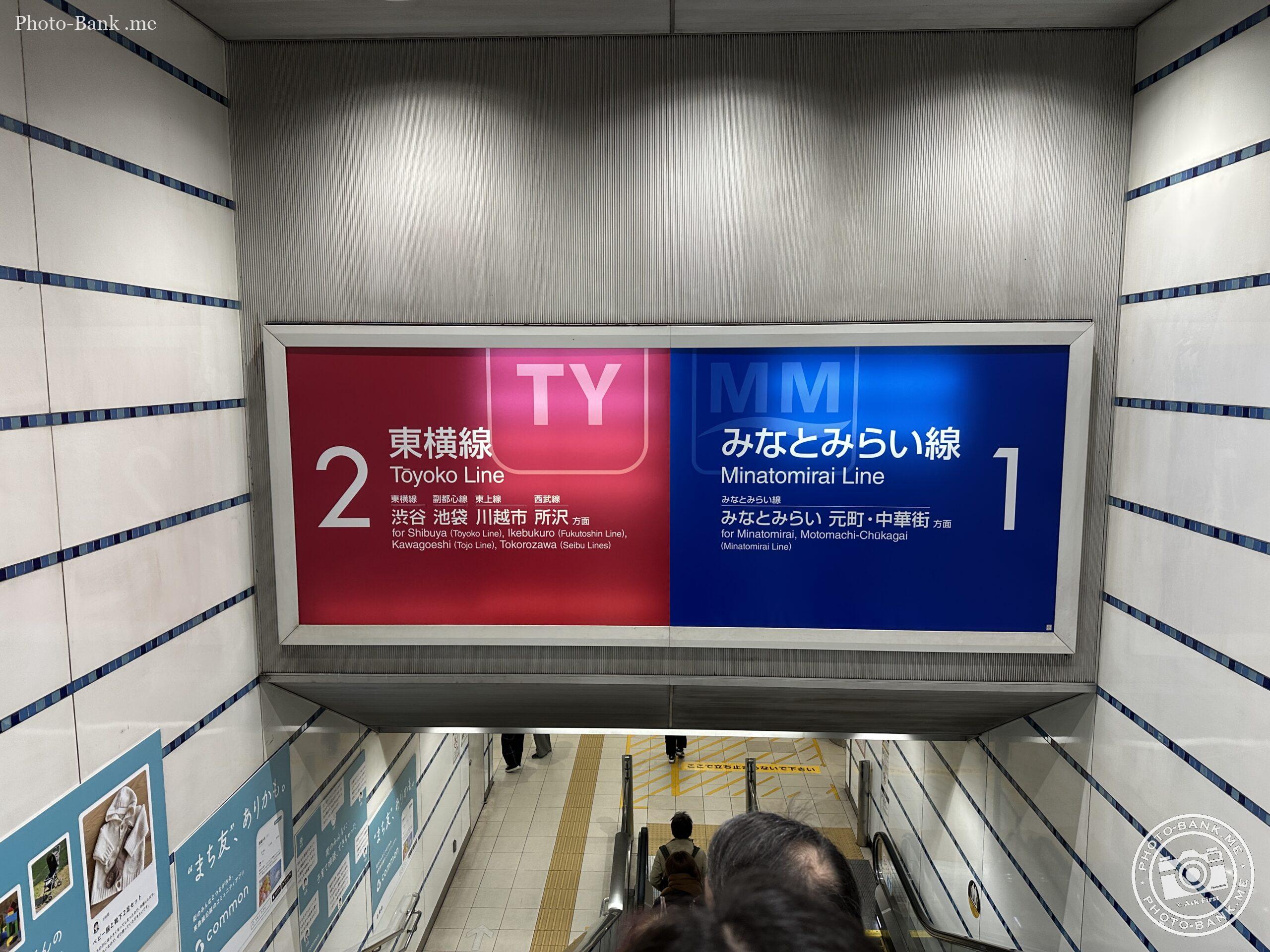 駅構内、東横線とみなとみらい線の路線案内サインとエスカレーター