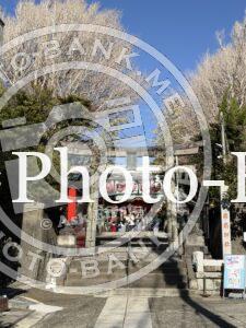 冬晴れの海南神社、石段を上る参拝者たちの列。石造りの階段と鳥居、参拝者の姿が見える。