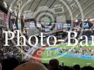 東京ドームで開催された第79回ライスボウル、オービックシーガルズとパナソニックインパルスの試合風景